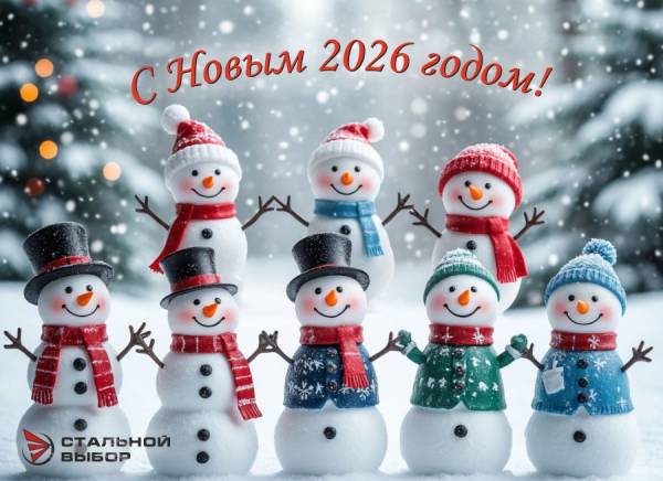 С наступающим Новым 2026 годом!